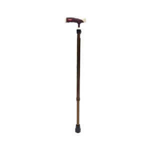 Bion Walking Stick Bronze